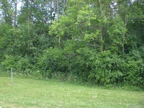 Lot 23 Inverway, Lakewood, IL 60014