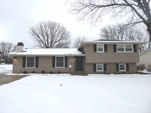 801 S Springinsguth, Schaumburg, IL 60193