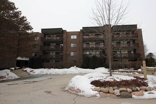 690 Chandler Unit 303, Gurnee, IL 60031