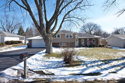 6125 Leonard, Downers Grove, IL 60516