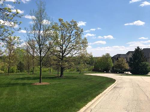 Lot 10 Plattner, Mokena, IL 60448