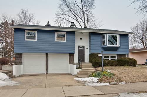 904 E Barberry, Mount Prospect, IL 60056