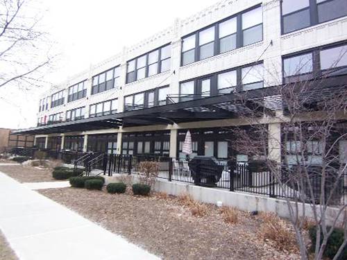 1033 W 14th Unit 322, Chicago, IL 60607