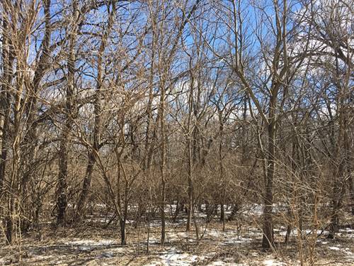 2 Acres Washington, Yorkville, IL 60560