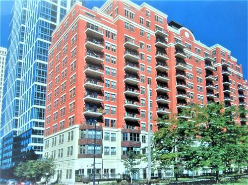 1250 S Indiana Unit 301, Chicago, IL 60605