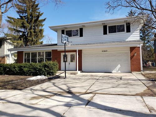 1323 N Vail, Arlington Heights, IL 60004