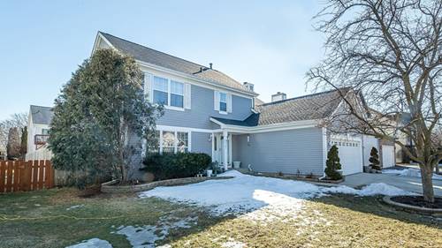 1133 Little Falls, Elgin, IL 60120