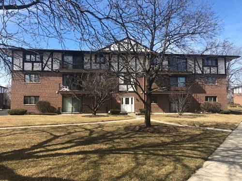 11021 S Theresa Unit 2D, Palos Hills, IL 60465