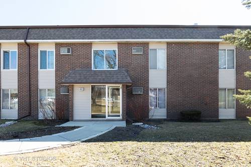 1117 Miller Unit 106, Buffalo Grove, IL 60089