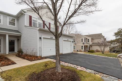 3139 Falling Waters Unit -, Lindenhurst, IL 60046