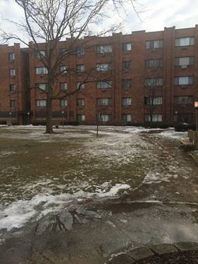 8503 W Catherine Unit 211, Chicago, IL 60656