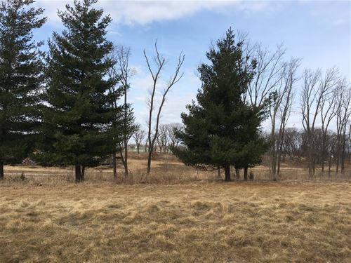 Lot #25 W Longwood, Woodstock, IL 60098