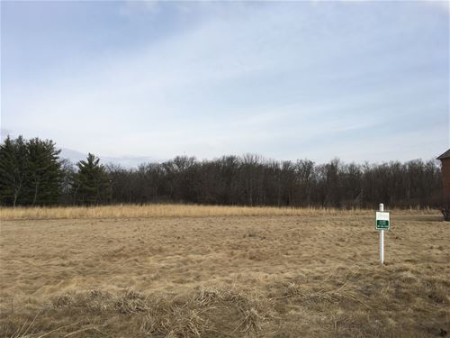 Lot #29 W Longwood, Woodstock, IL 60098