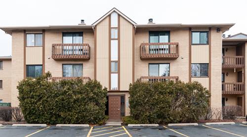 107 Olesen Unit 2D, Naperville, IL 60540