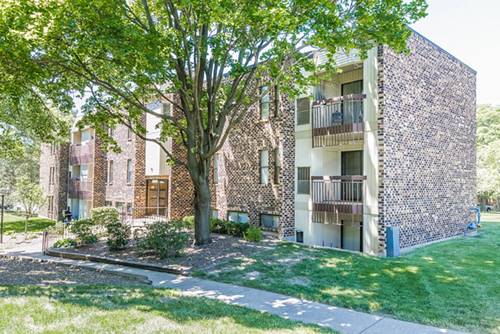 2037 Country Club Unit 26, Woodridge, IL 60517