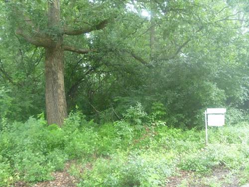 Lot 2 Fairview, Lake Forest, IL 60045