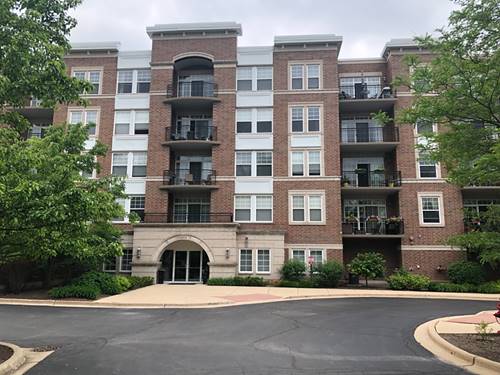 455 W Wood Unit 313, Palatine, IL 60067