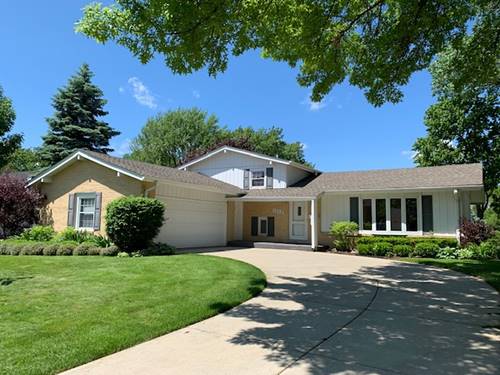 1202 W Haven, Arlington Heights, IL 60005