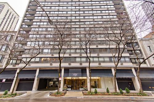 33 E Cedar Unit 19H, Chicago, IL 60611