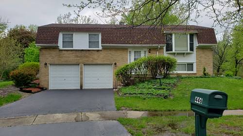 446 Alcester, Bolingbrook, IL 60440