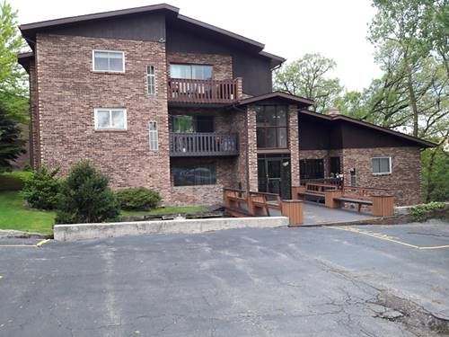 8459 Archer Unit 104, Willow Springs, IL 60480