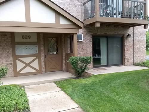 829 S Dwyer Unit B, Arlington Heights, IL 60005