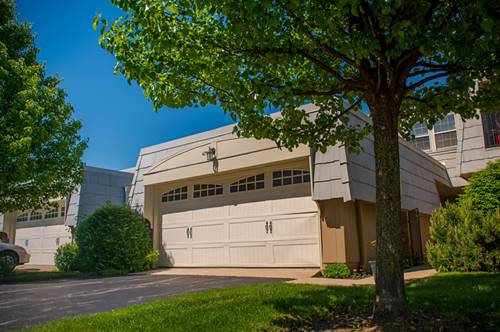 675 Versailles Unit D, Elk Grove Village, IL 60007