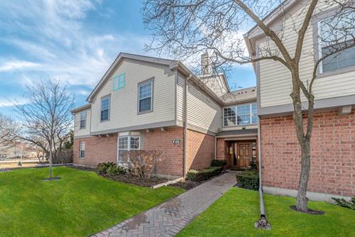 133 Idle Wild Unit 8, Schaumburg, IL 60195