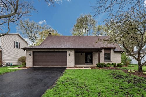 817 Zaininger, Naperville, IL 60563