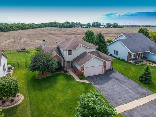 713 Merganser, Peotone, IL 60468