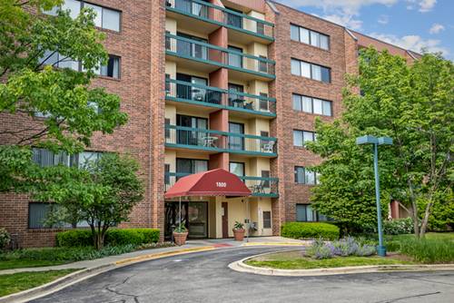 1800 Huntington Unit AE111, Hoffman Estates, IL 60169