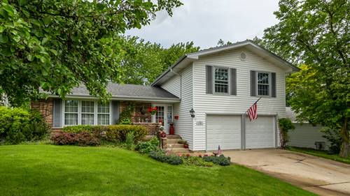 1120 Rosedale, Hoffman Estates, IL 60169