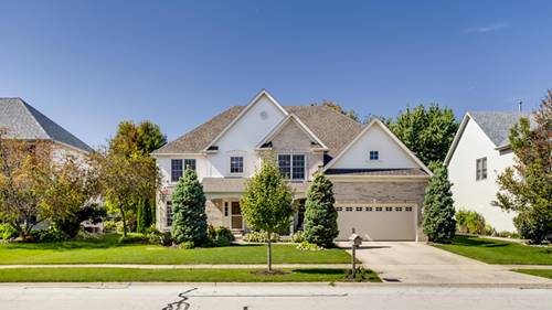 12144 Winterberry, Plainfield, IL 60585