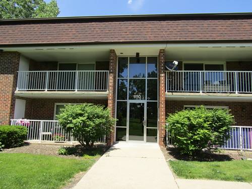 1110 Mercury Unit 2A, Schaumburg, IL 60193