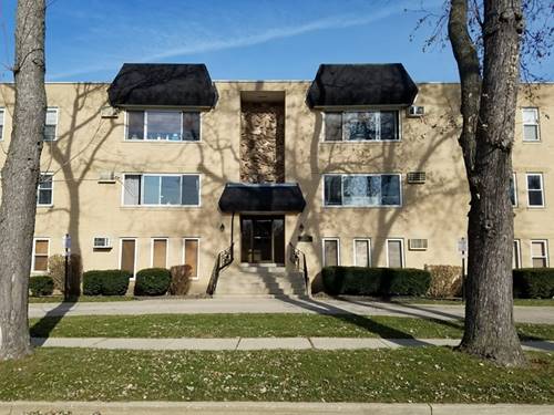 1328 W Webford Unit 304, Des Plaines, IL 60016