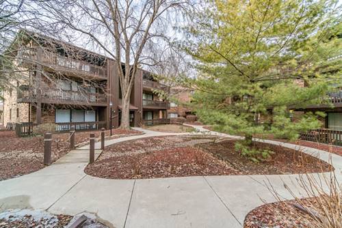 9609 Austin Unit 3E, Oak Lawn, IL 60453