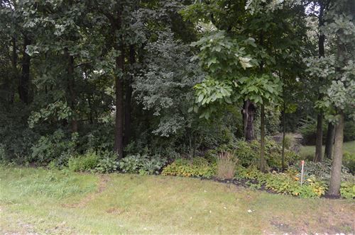 Lot 9 Shade Tree, Lakewood, IL 60014