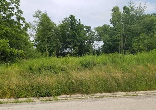 Lot 1 Madison, Fox Lake, IL 60020