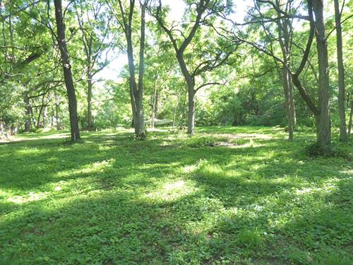 Lot #1 Frontage, West Chicago, IL 60185