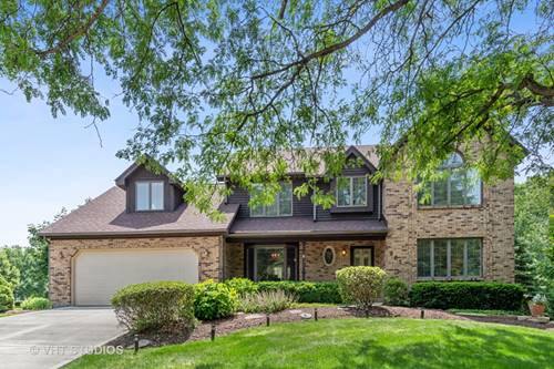 962 Rice, Naperville, IL 60565