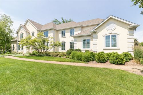 10N890 York, Elgin, IL 60124