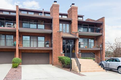 1 Cinnamon Creek Unit 1N, Palos Hills, IL 60465