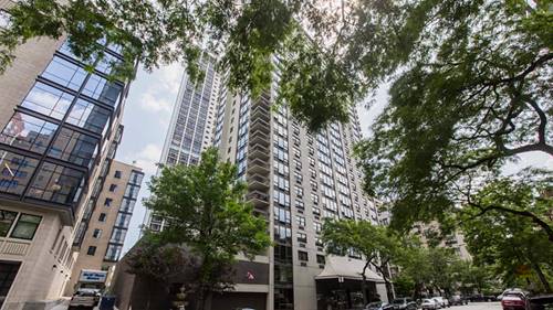 1313 N Ritchie Unit 2303, Chicago, IL 60610