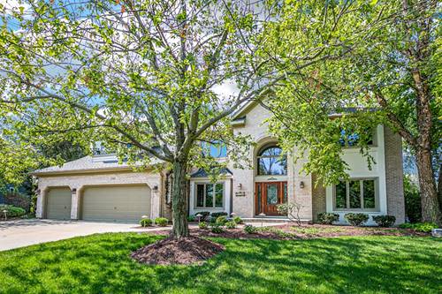 1343 Dryden, Naperville, IL 60564