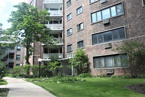 1132 W Lunt Unit 1C, Chicago, IL 60626