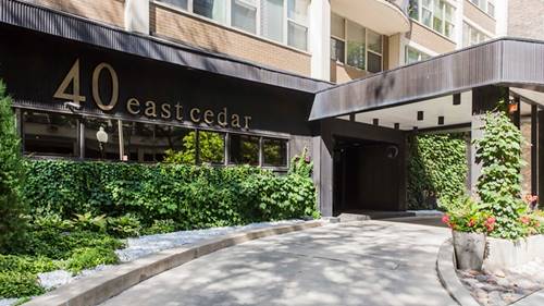 40 E Cedar Unit 17C, Chicago, IL 60611