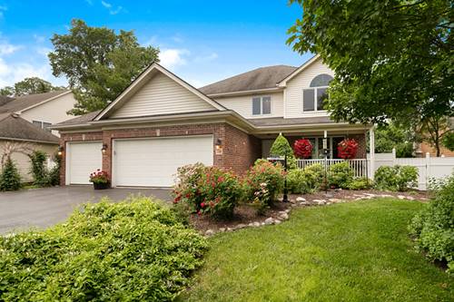 5560 Main, Downers Grove, IL 60516