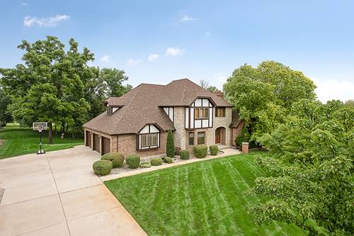 13110 Da Vinci, Lemont, IL 60439