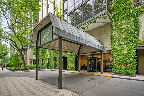 100 E Bellevue Unit 6D, Chicago, IL 60611