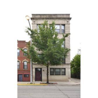 1117 S Racine Unit 2R, Chicago, IL 60607